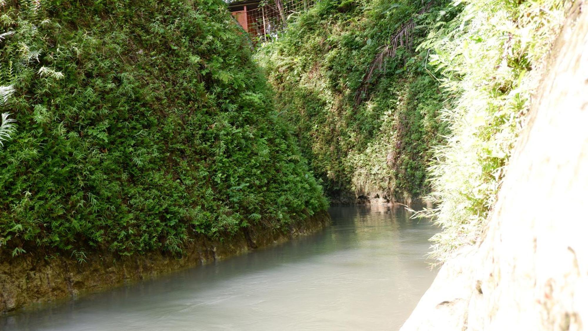 Hau Eco Lodges Citumang Pangandaran Exteriör bild